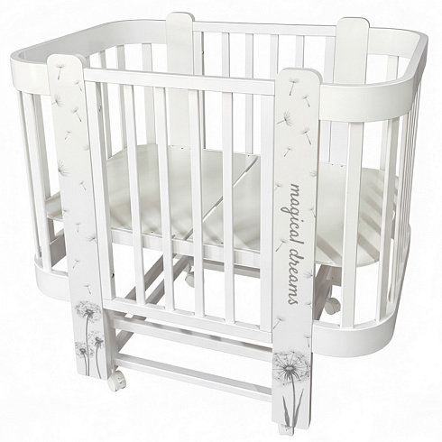 Одуванчики